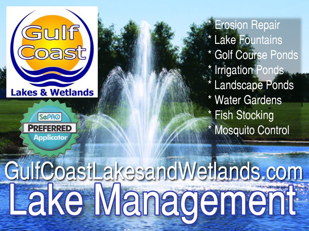 GCLW-Lake-Manageement-Services-01