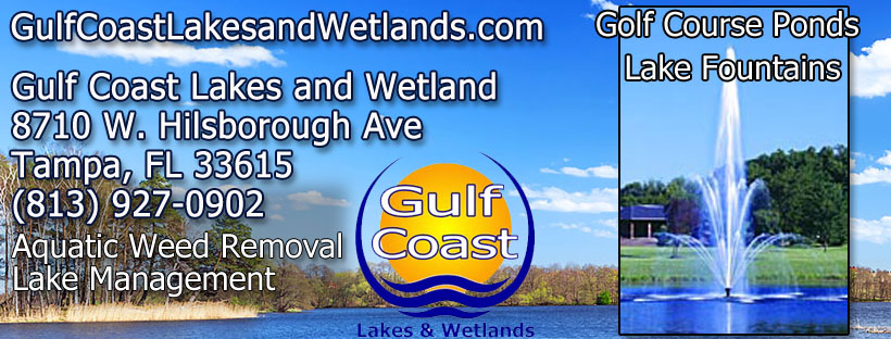 Tampa Lake Management services