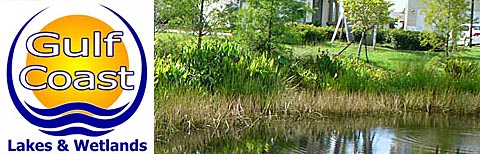 West coast Florida Lakes and wetlands, lake management