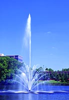 Buckingham Titan Aerator Tampa Lake Fountain Services